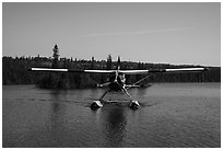 Sea Plane approaching, Tobin Harbor. Isle Royale National Park ( black and white)