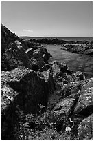 Red Flower and rocky lakeshore of Passage Island. Isle Royale National Park ( black and white)