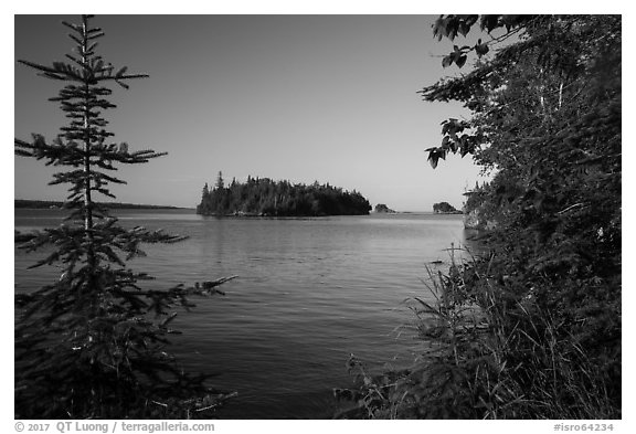 Islands of archipelago framed by trees from Tookers Island. Isle Royale National Park (black and white)