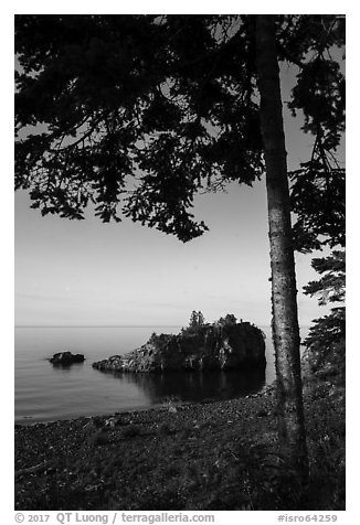 Tree, offshore islet, and Lake Superior, Mott Island. Isle Royale National Park (black and white)