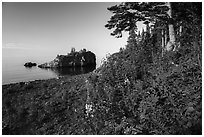 Wildflowers, offshore islet, and Lake Superior, Mott Island. Isle Royale National Park ( black and white)