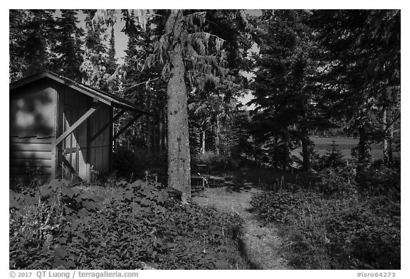 Shelter, Caribou Island. Isle Royale National Park (black and white)