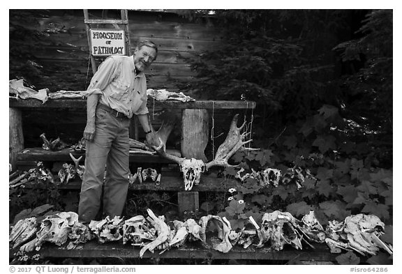 Rolf Peterson points to speciment of moose skull exhibiting pathology. Isle Royale National Park (black and white)