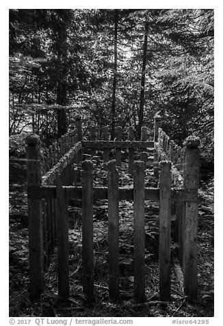 Grave, Bangsund Cabin site. Isle Royale National Park (black and white)