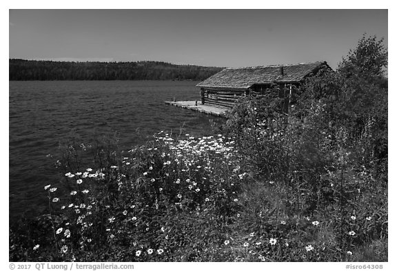 Fish House and wildflowers, Edisen Fishery. Isle Royale National Park (black and white)