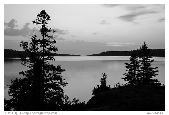 Trees and calm waters, Moskey Basin, dawn. Isle Royale National Park (black and white)