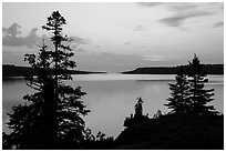 Trees and calm waters, Moskey Basin, dawn. Isle Royale National Park ( black and white)