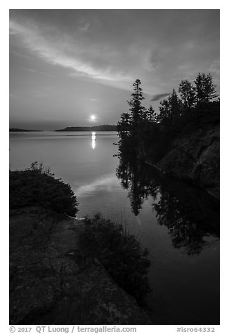 Sunrise and trees, Moskey Basin. Isle Royale National Park (black and white)