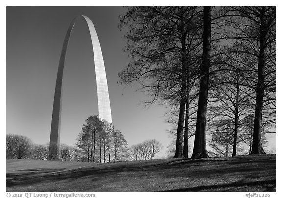 Trees and Arch. Gateway Arch National Park (black and white)