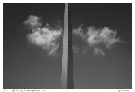 Symmetric view of Arch pillar with clouds and blue skies. Gateway Arch National Park (black and white)