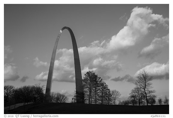 Arch, trees and clouds, winter late afternoon. Gateway Arch National Park (black and white)