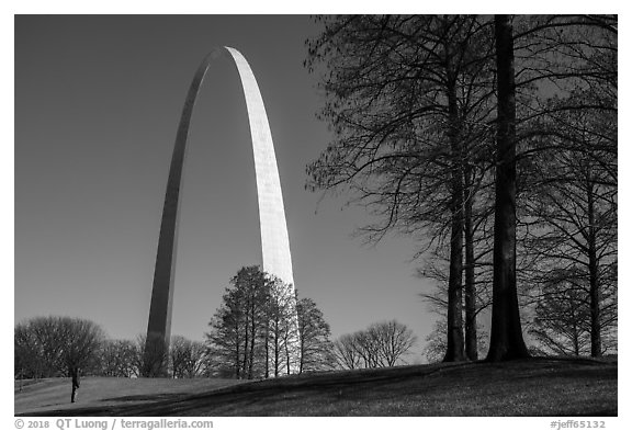 Visitor looking. Gateway Arch National Park (black and white)
