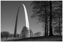 Visitor looking. Gateway Arch National Park ( black and white)