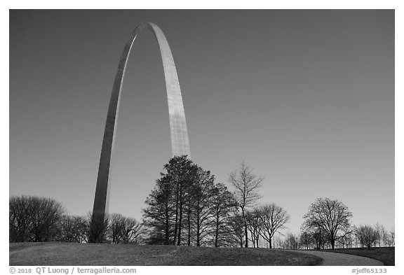 Arch and trees. Gateway Arch National Park (black and white)
