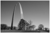Arch and trees. Gateway Arch National Park ( black and white)