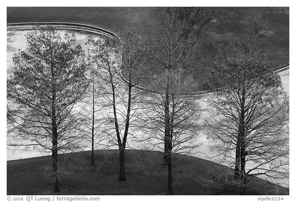 Bare trees and drained North Pond. Gateway Arch National Park (black and white)