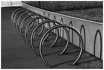 Rings. Gateway Arch National Park ( black and white)