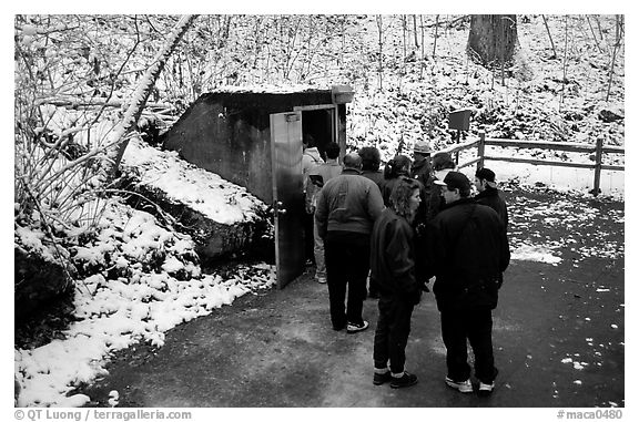 Entrance of Frozen Niagara section of the cave in winter. Mammoth Cave National Park, Kentucky, USA.