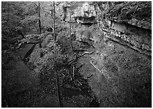 Limestone cliffs and karstic depression in autumn. Mammoth Cave National Park, Kentucky, USA. (black and white)