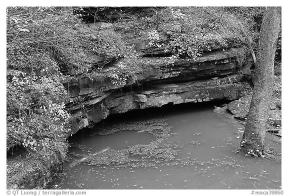 Styx underground river resurgence. Mammoth Cave National Park (black and white)