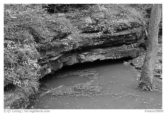 Styx underground river resurgence. Mammoth Cave National Park, Kentucky, USA.