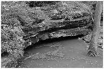 Styx underground river resurgence. Mammoth Cave National Park, Kentucky, USA. (black and white)