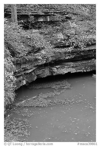 Styx river spring resurgence. Mammoth Cave National Park (black and white)
