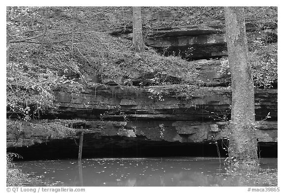 Limestone ledges, trees, and Styx spring. Mammoth Cave National Park (black and white)