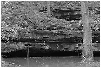 Limestone ledges, trees, and Styx spring. Mammoth Cave National Park, Kentucky, USA. (black and white)