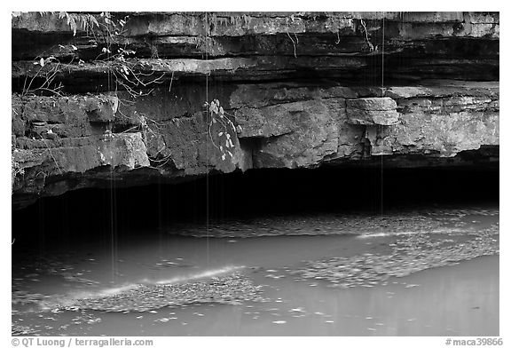 Styx resurgence and limestone ledges. Mammoth Cave National Park (black and white)