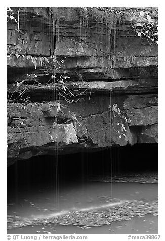 Water drips over limestone ledges and Styx. Mammoth Cave National Park, Kentucky, USA.