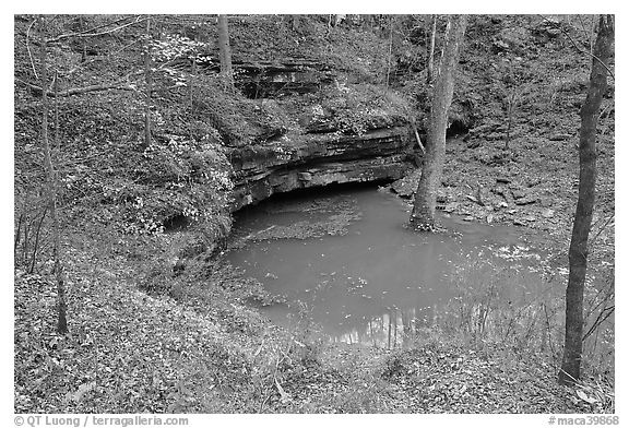 Styx river resurgence in autumn. Mammoth Cave National Park, Kentucky, USA.