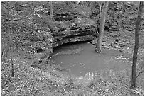 Styx river resurgence in autumn. Mammoth Cave National Park, Kentucky, USA. (black and white)