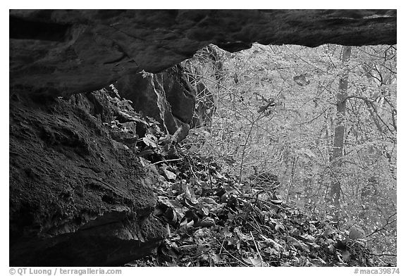 Forest with autumn color seen from inside cave. Mammoth Cave National Park, Kentucky, USA.