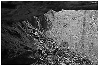 Forest with autumn color seen from inside cave. Mammoth Cave National Park ( black and white)