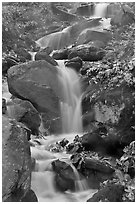 Cascading stream. Mammoth Cave National Park ( black and white)