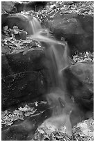 Stream, boulders, and fallen leaves. Mammoth Cave National Park, Kentucky, USA. (black and white)