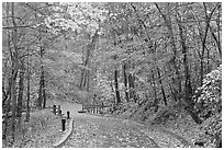 Trail leading to historic cave entrance in the fall. Mammoth Cave National Park ( black and white)