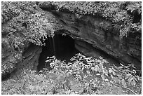 Entrance shaft. Mammoth Cave National Park, Kentucky, USA. (black and white)