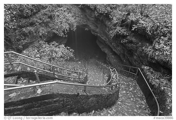 Steps and handrails leading down to cave. Mammoth Cave National Park, Kentucky, USA.