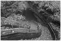 Steps and handrails leading down to cave. Mammoth Cave National Park ( black and white)