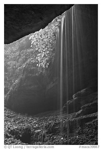 Ephemeral waterfall seen from inside cave. Mammoth Cave National Park, Kentucky, USA.
