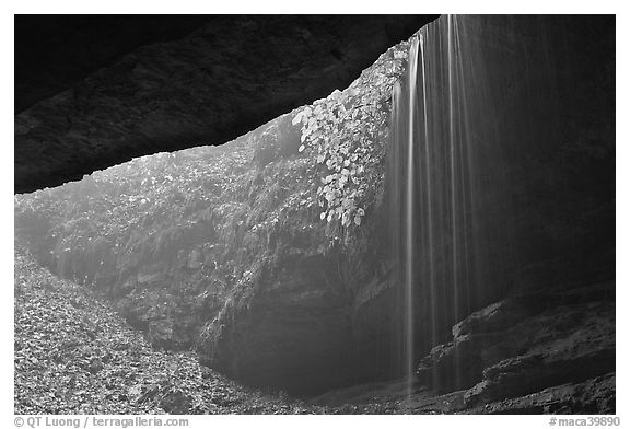 Rain-fed waterfall seen from inside cave. Mammoth Cave National Park (black and white)