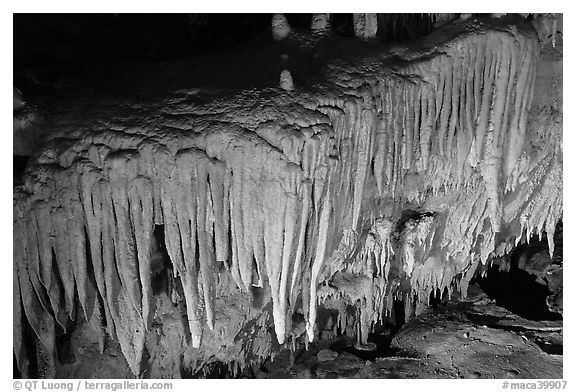 Flowstone detail, Frozen Niagara. Mammoth Cave National Park (black and white)