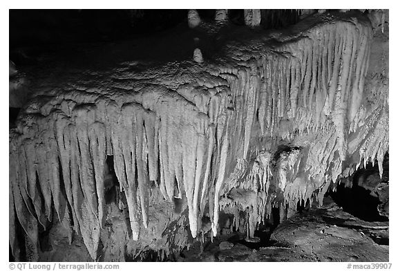 Flowstone detail, Frozen Niagara. Mammoth Cave National Park, Kentucky, USA.