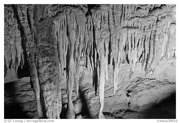 Stalactites detail, Frozen Niagara. Mammoth Cave National Park (black and white)