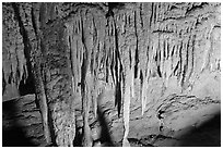 Stalactites detail, Frozen Niagara. Mammoth Cave National Park ( black and white)