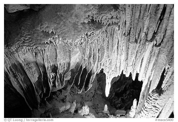 Stalagtites and stalagmites in the Frozen Niagara section. Mammoth Cave National Park (black and white)