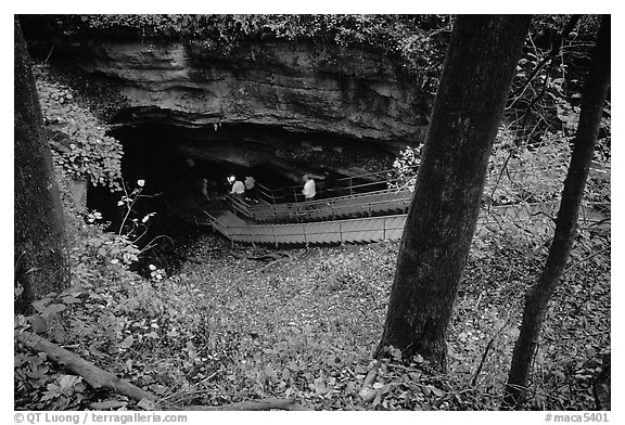 Historic entrance of the cave. Mammoth Cave National Park (black and white)