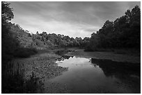 Sloans Crossing Pond. Mammoth Cave National Park ( black and white)